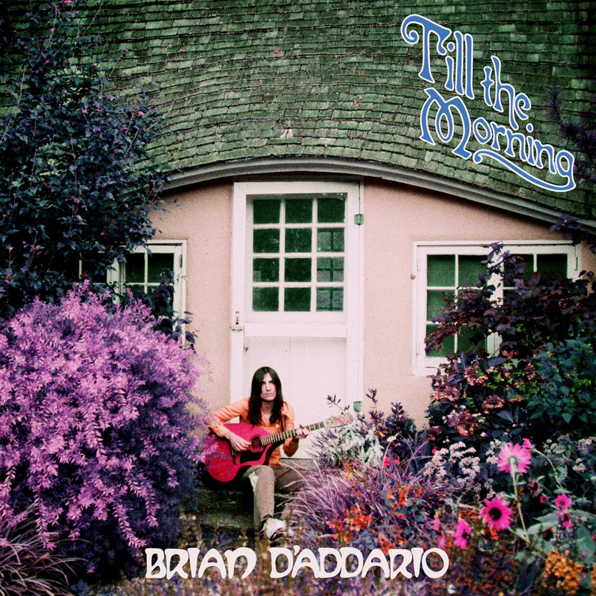 Brian D'Addario - 'Till the Morning'