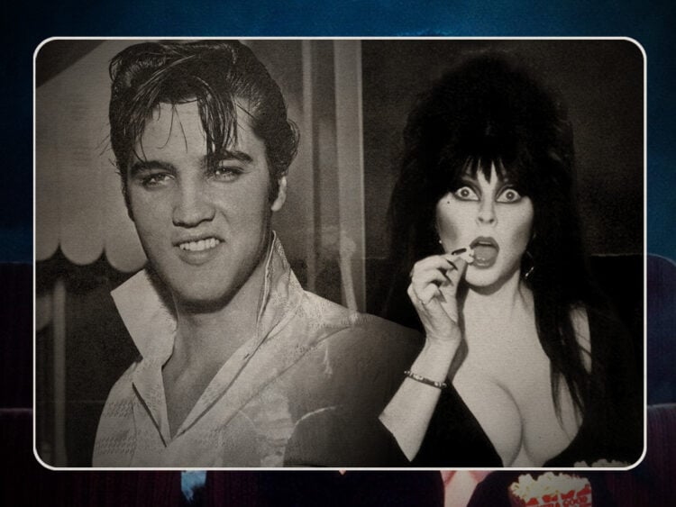 'Elvira, Mistress of the Dark'- The story of how Elvis Presley saved Cassandra Peterson's life