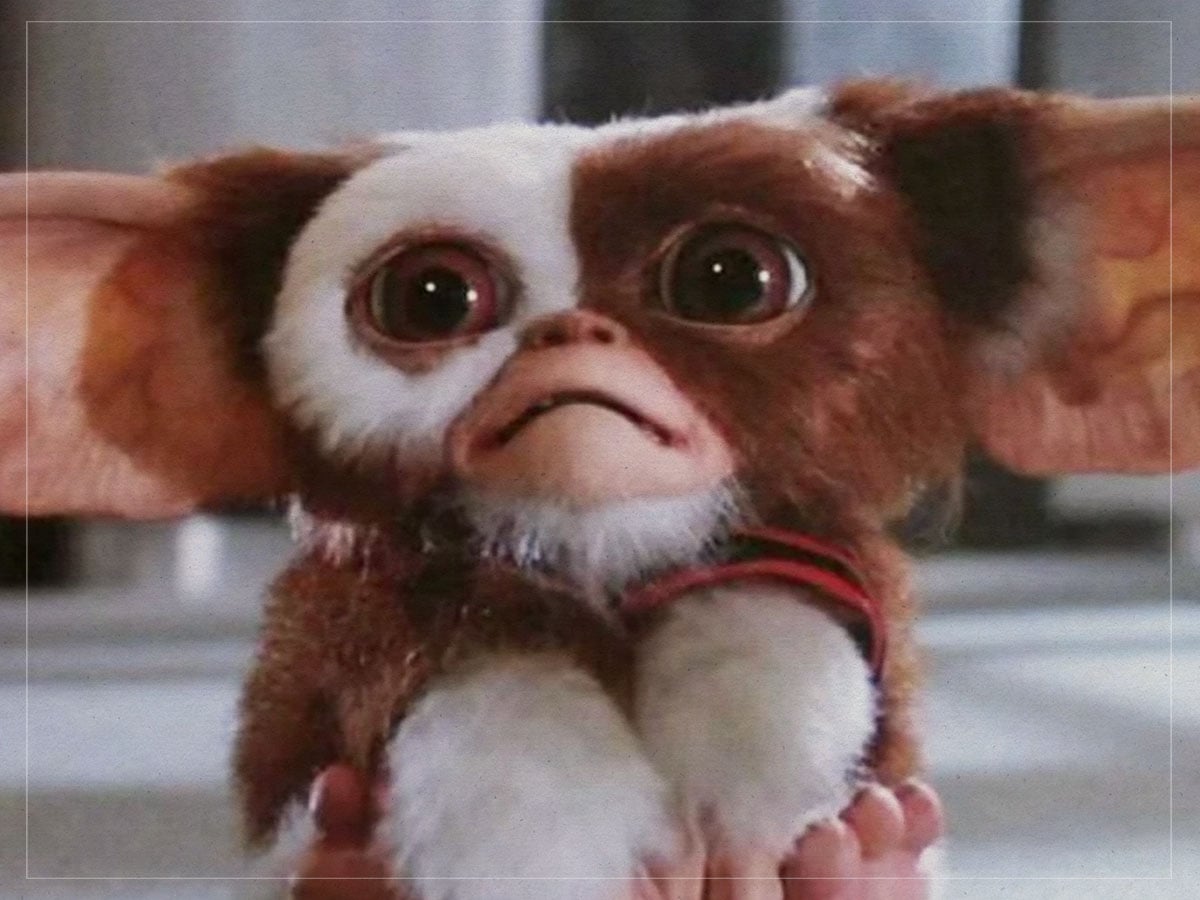 Gremlins (Joe Dante, 1984)