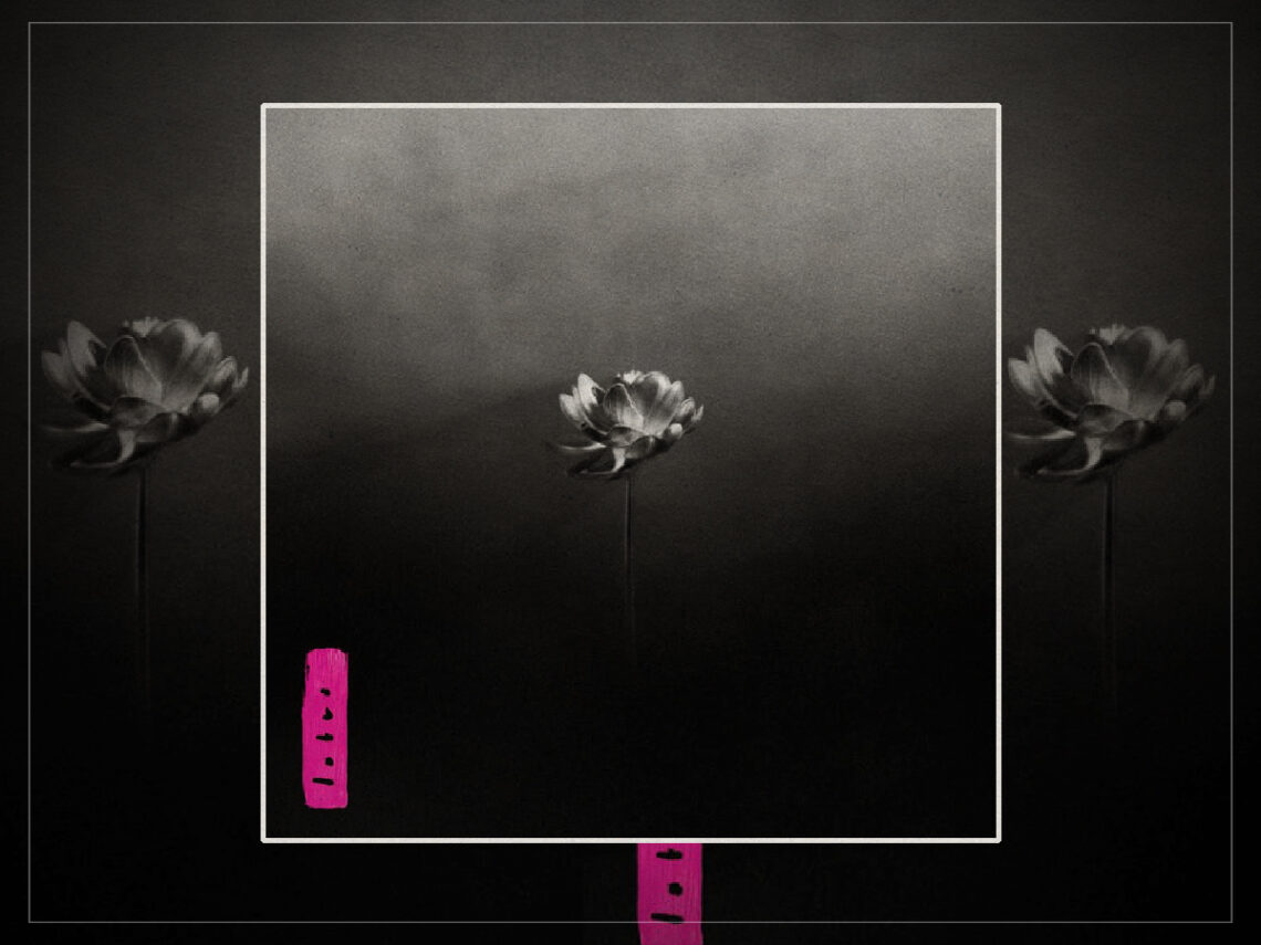 Little Simz - Lotus - 2025