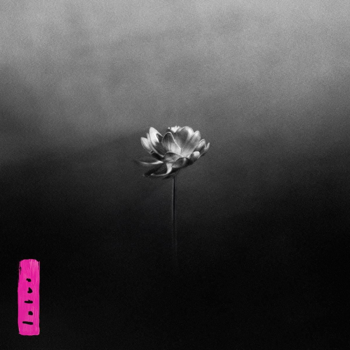 Little Simz - 'Lotus'