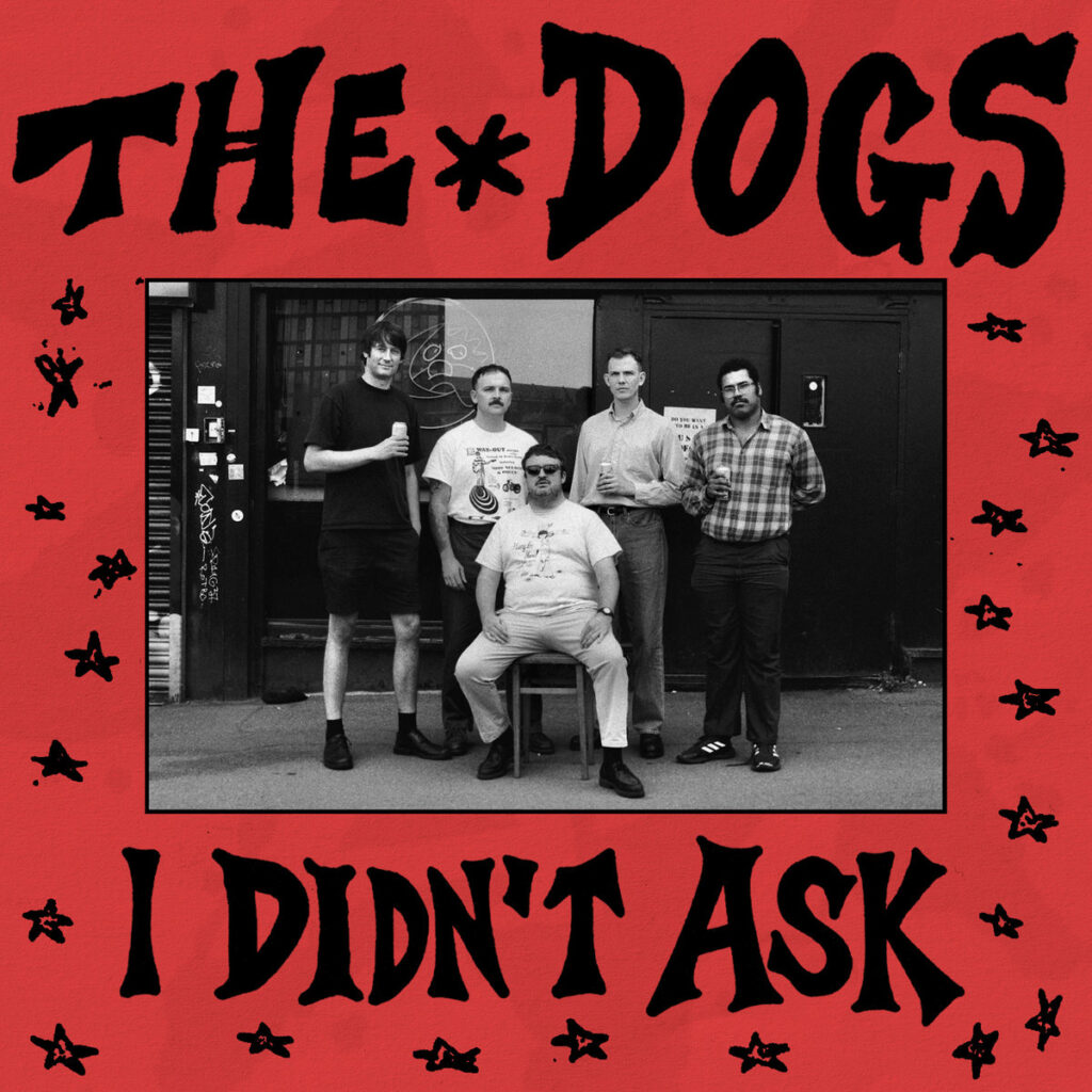 Quick-fire Questions- 10 minutes with The Dogs -