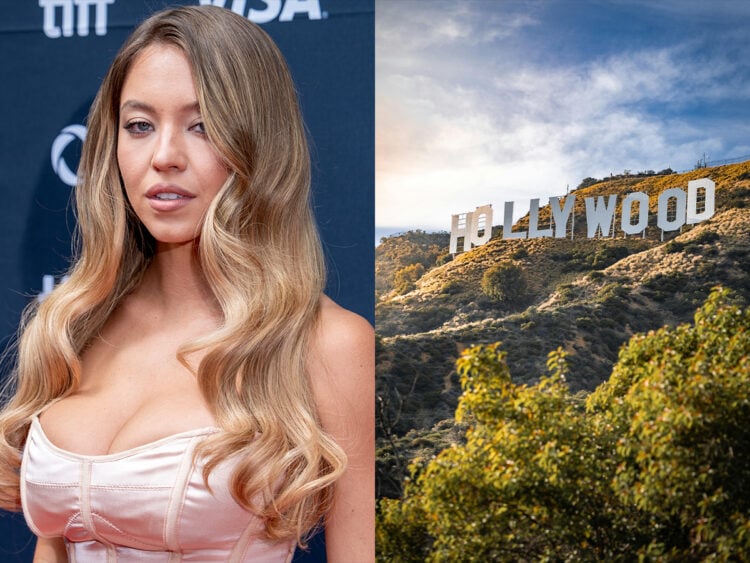 Sydney Sweeney did not get permission to hang bras on Hollywood sign, says Hollywood Chamber of Commerce