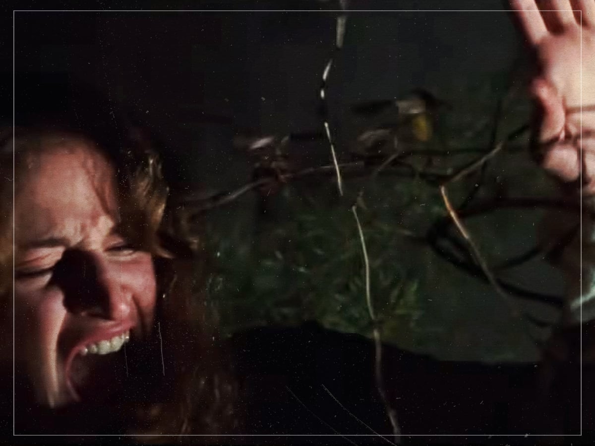 The tree scene - The Evil Dead - Sam Raimi - 1981