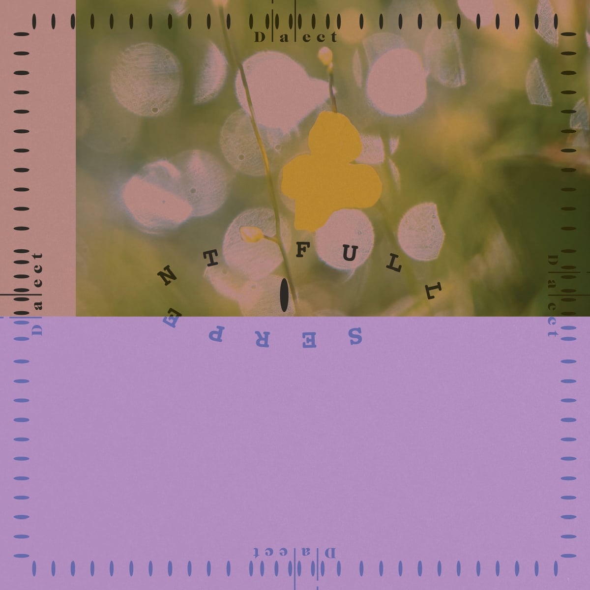 Dialect - Full Serpent - 2026