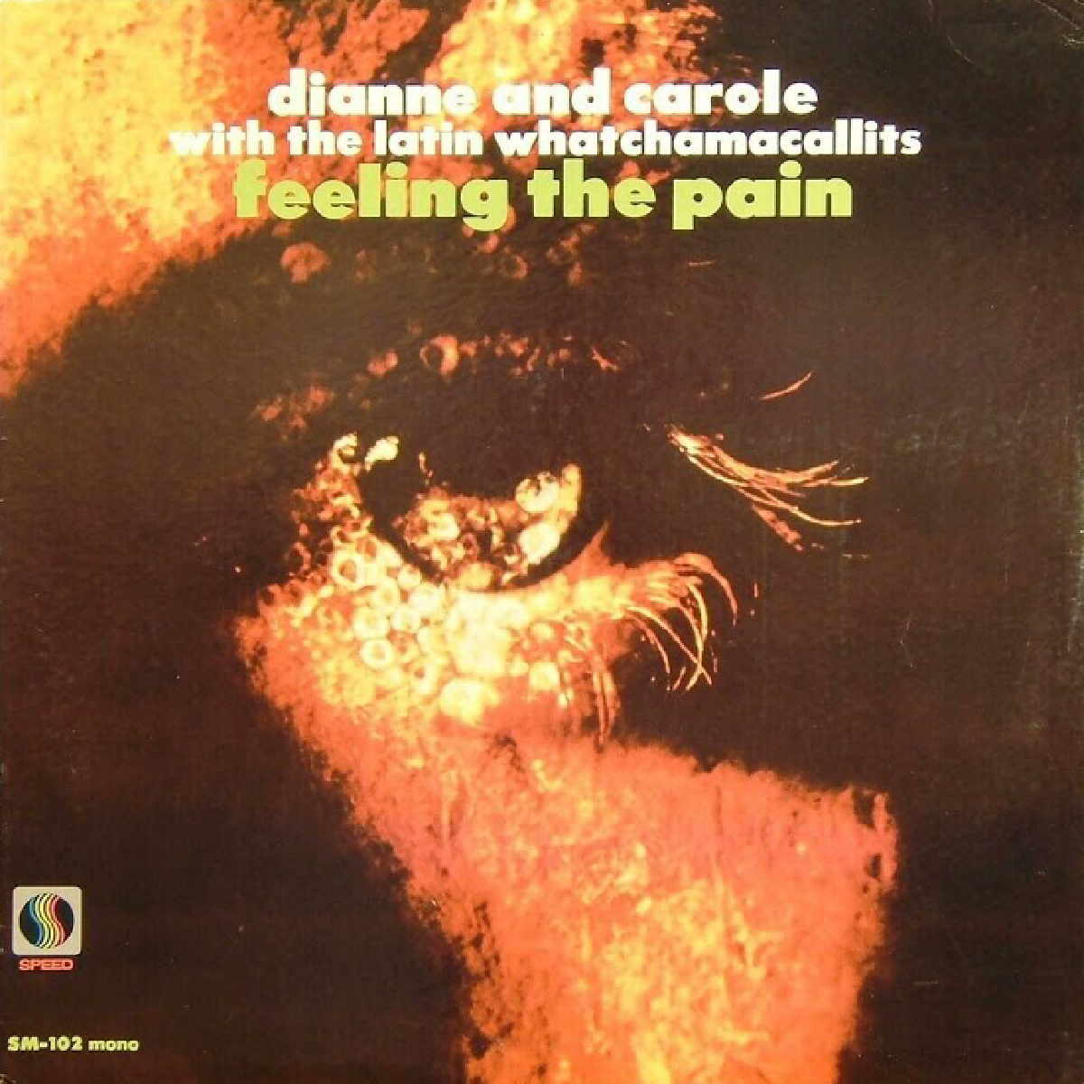 Dianne and Carole - Feeling The Pain - 1968