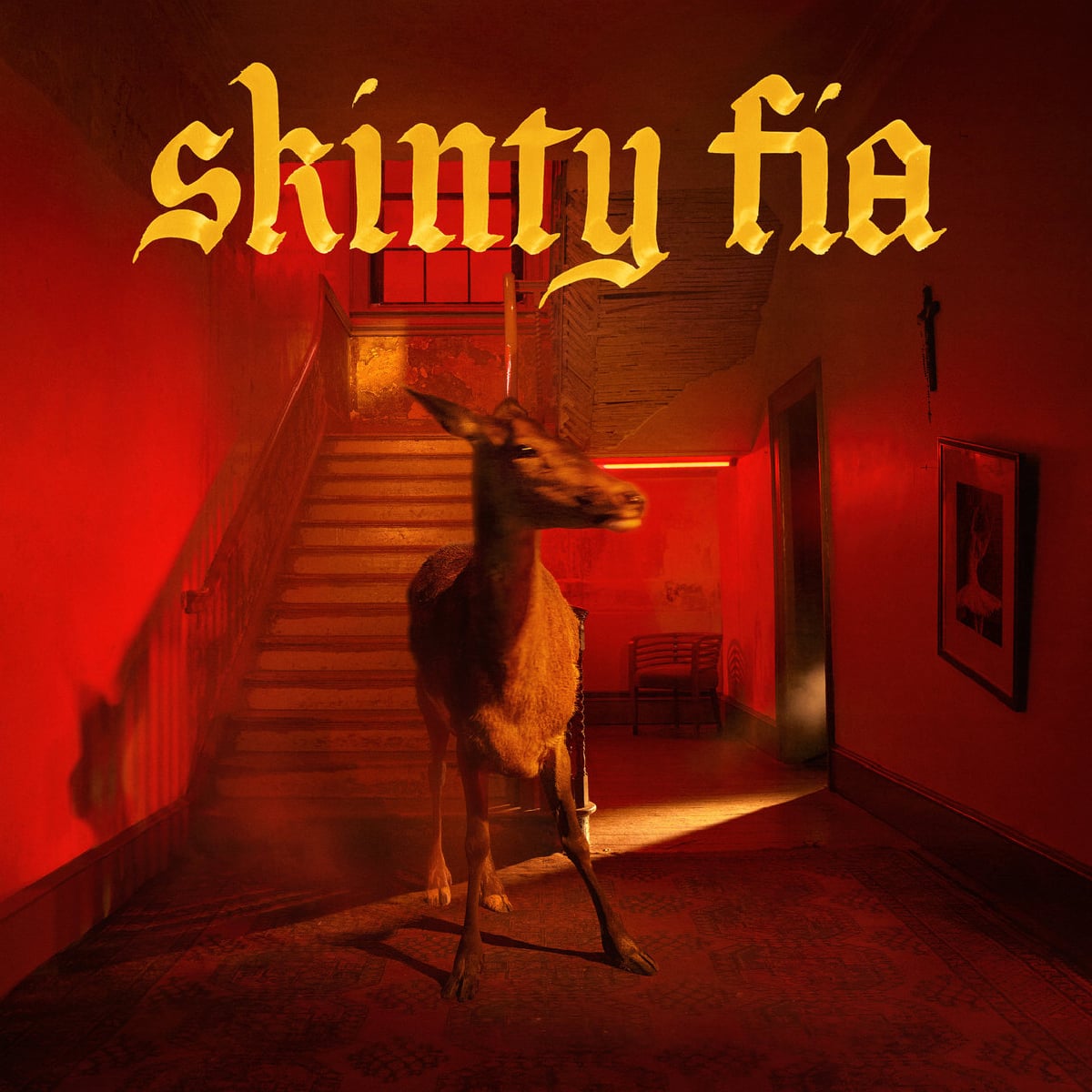 Fontaines D.C. - Skinty Fia - 2022