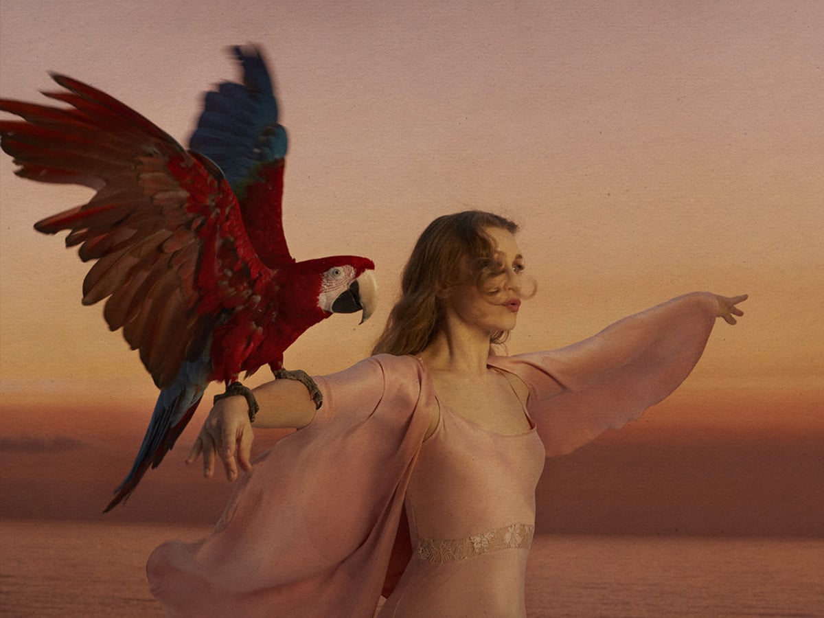 Joanna Newsom ainda lançará um novo álbum? O que se sabe sobre o futuro da cantora