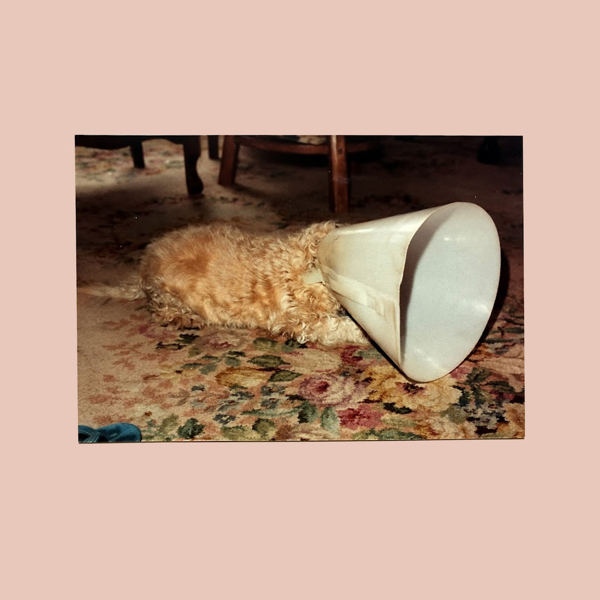 Langkamer - No - 2026