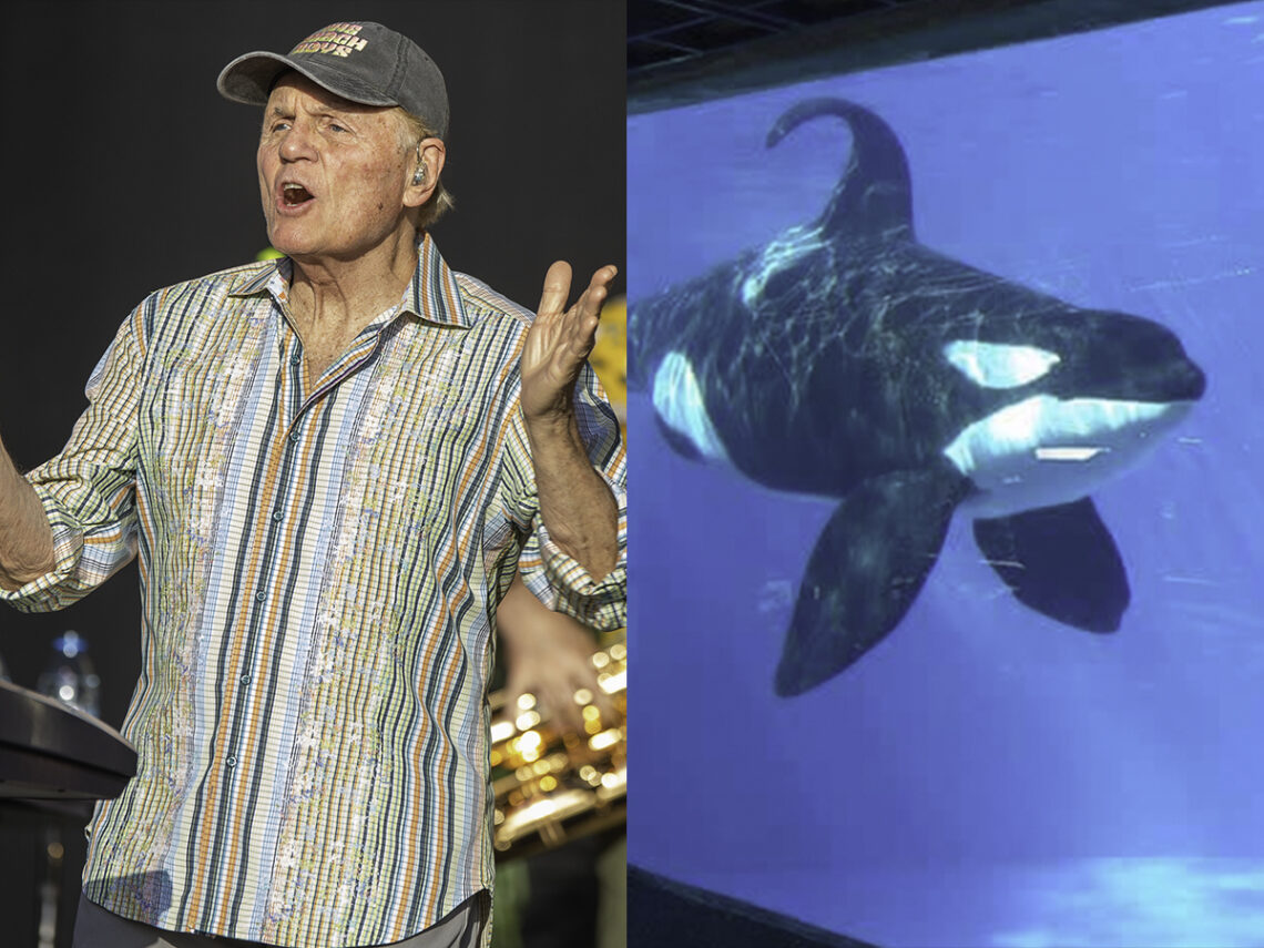 God only knows what The Beach Boys and John Stamos are thinking- PETA condemns upcoming concert at SeaWorld