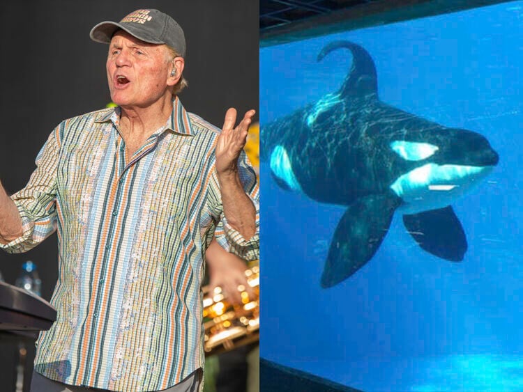 God only knows what The Beach Boys and John Stamos are thinking- PETA condemns upcoming concert at SeaWorld
