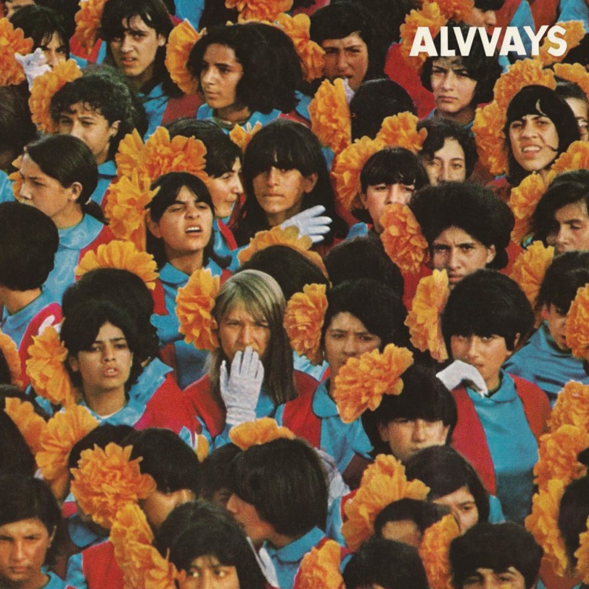 Archie, Marry Me - Alvvays - 2013