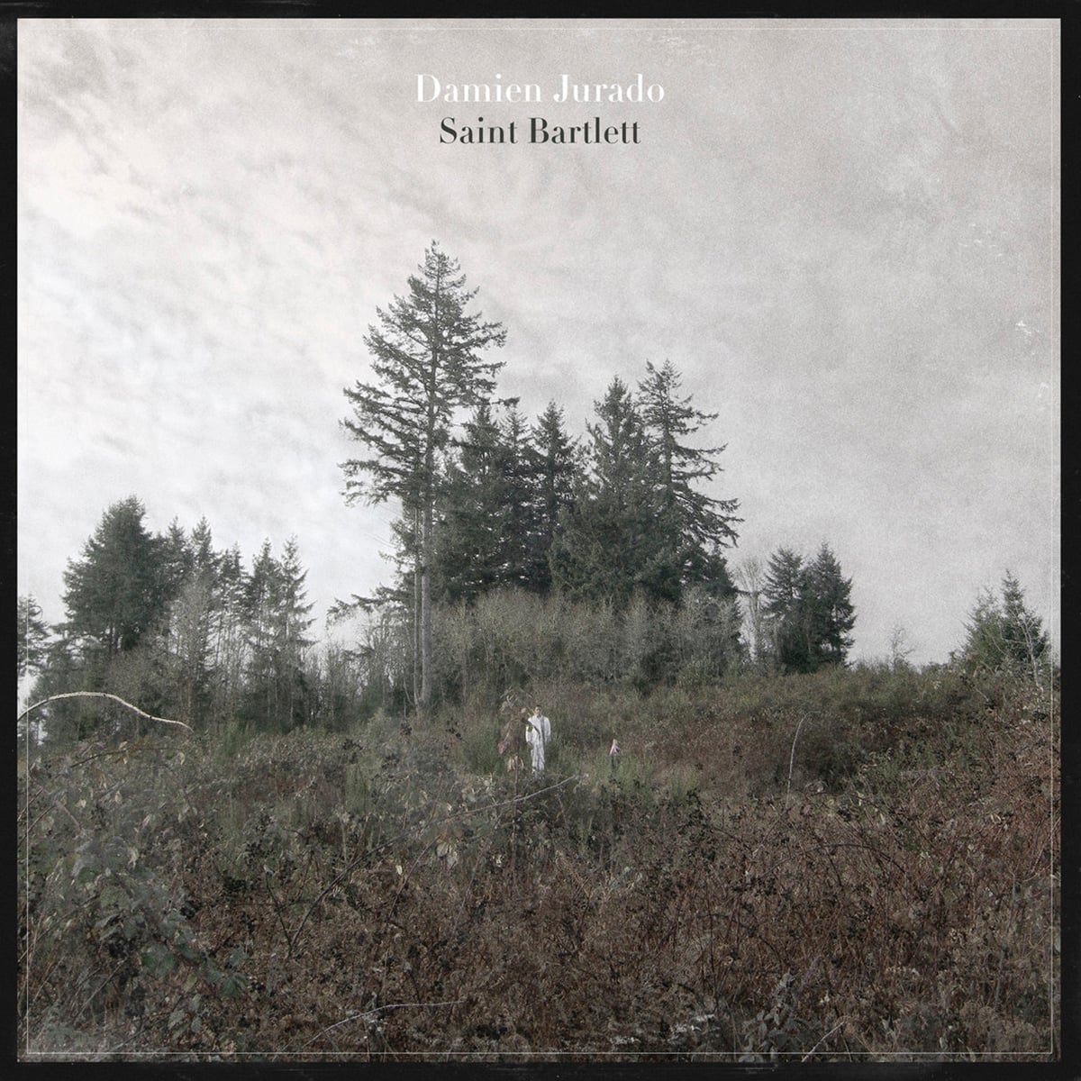 Cloudy Shoes - Damien Jurado - 2012