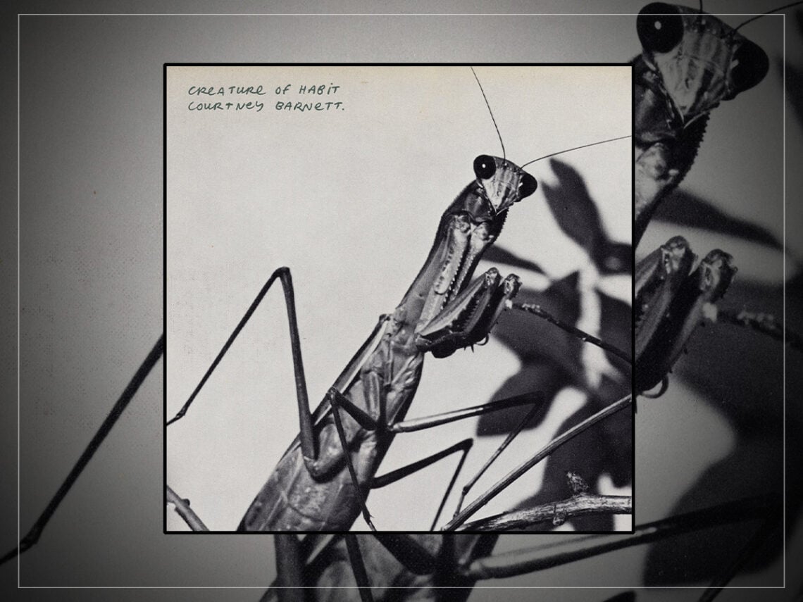 Courtney Barnett - Creature of Habit - 2026