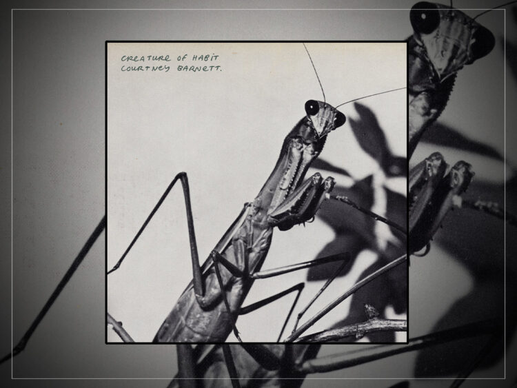Courtney Barnett - Creature of Habit - 2026