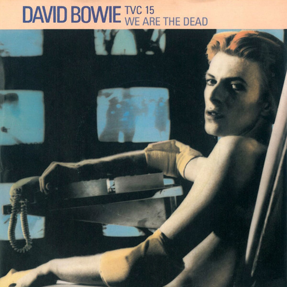 David Bowie - We Are The Dead - 1974