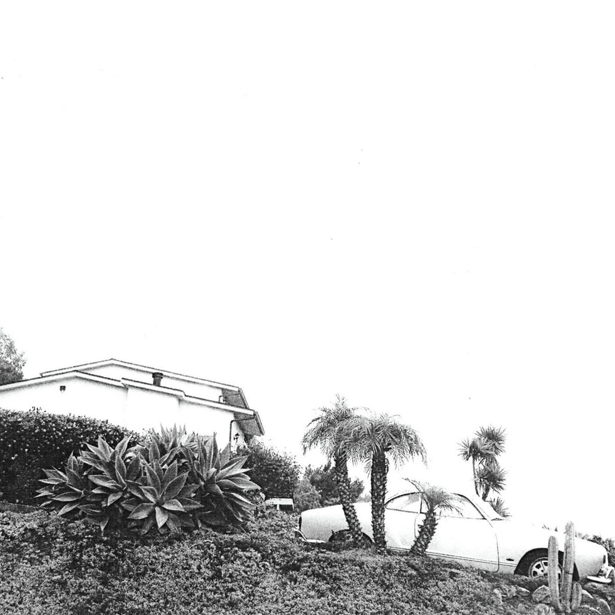 Hot Dreams - Timber Timbre - 2014