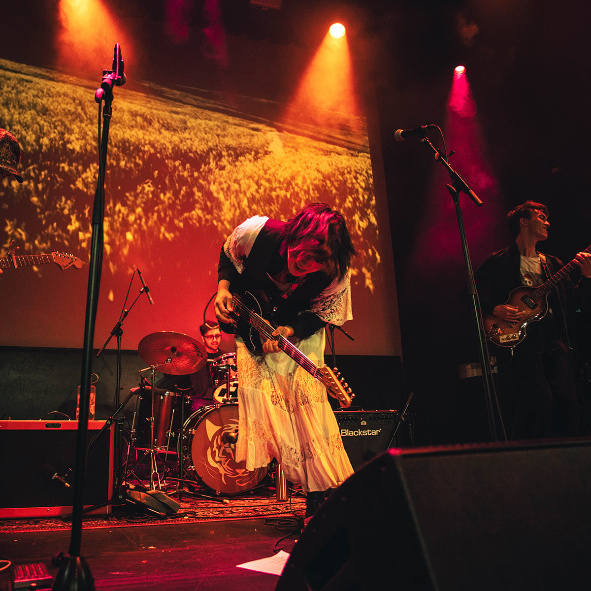 'Mafly Daydream'- Tiger Really talk us through their second album, track-by-track - Far Out Magazine 01