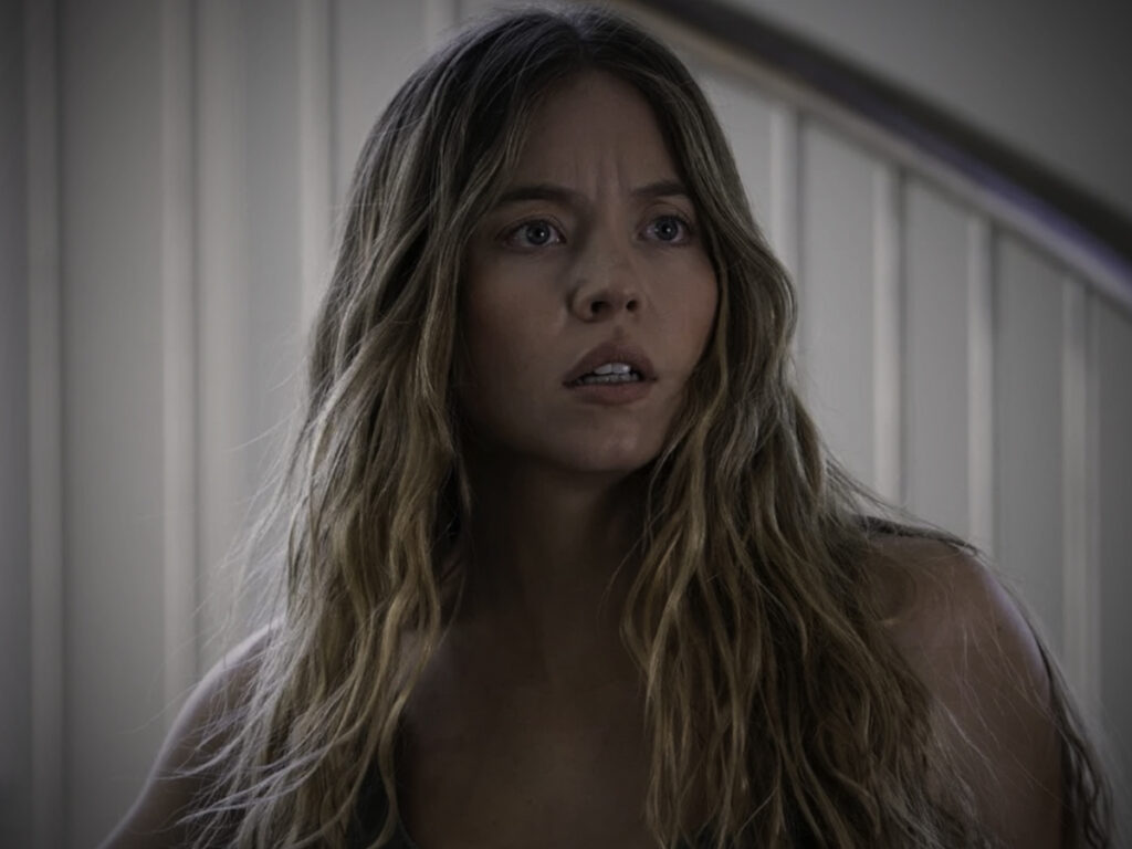 Understanding the mysterious allure of ‘The Housemaid’