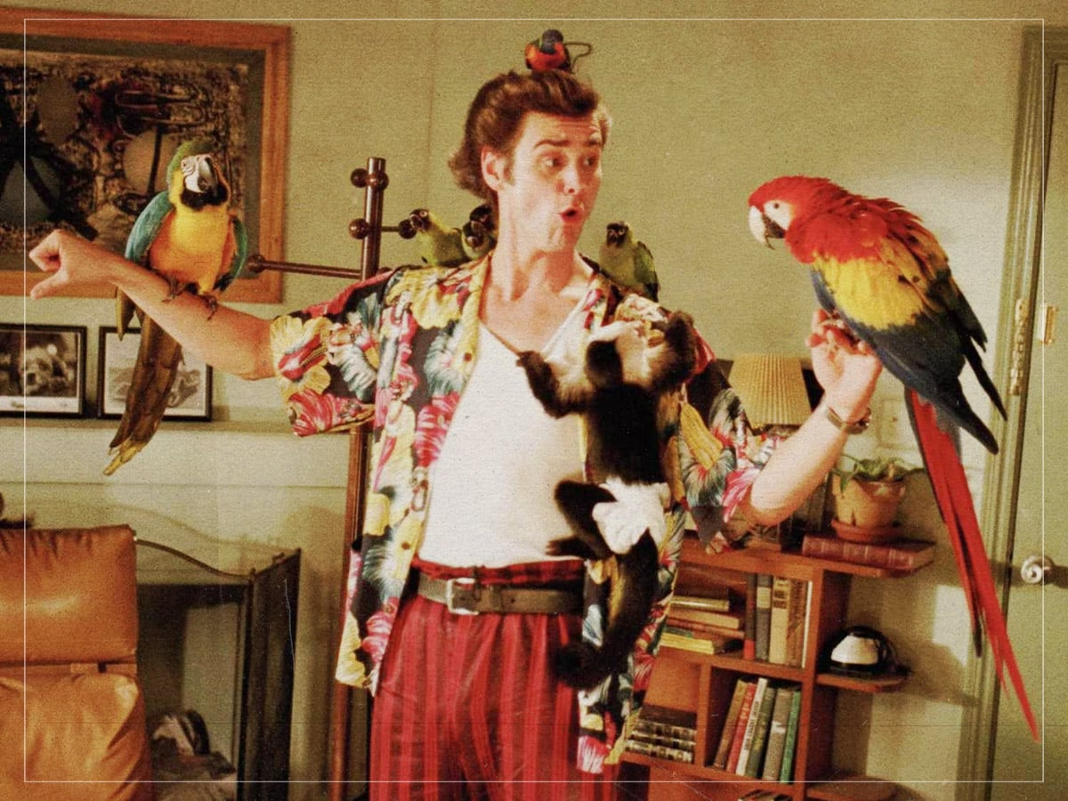 Ace Ventura in Ace Ventura Pet Detective (Tom Shadyac, 1994)