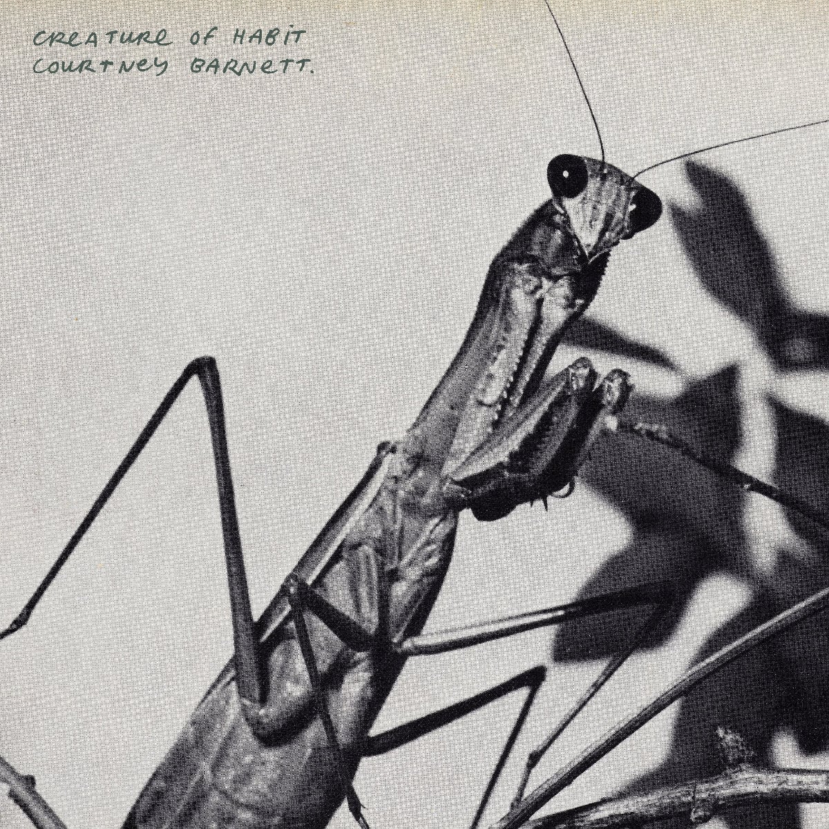 Courtney Barnett - Creature of Habit - 2026