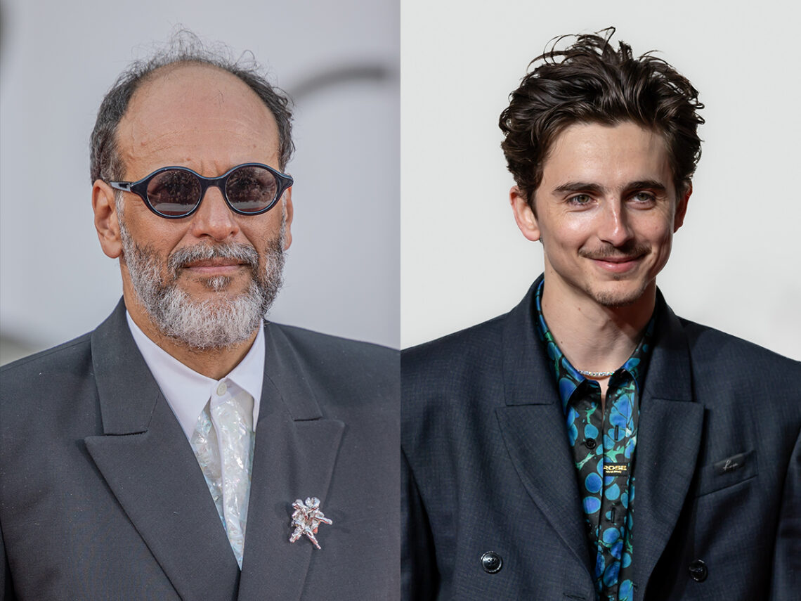 Luca Guadagnino - Timothée Chalamet - Split - 2026