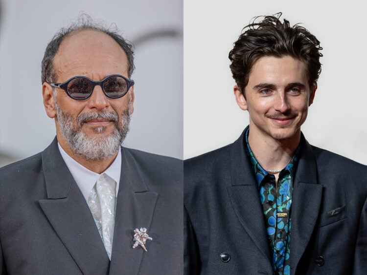 Luca Guadagnino - Timothée Chalamet - Split - 2026