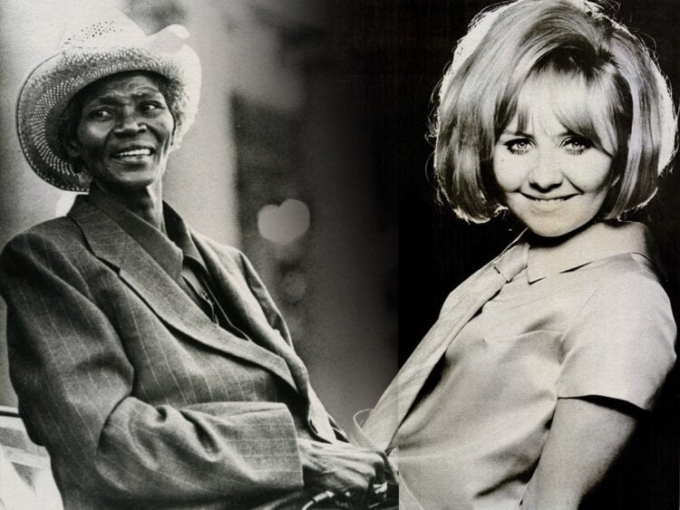 Lulu truly wanted to imitate Big Mama Thornton rather than being called the pop princess