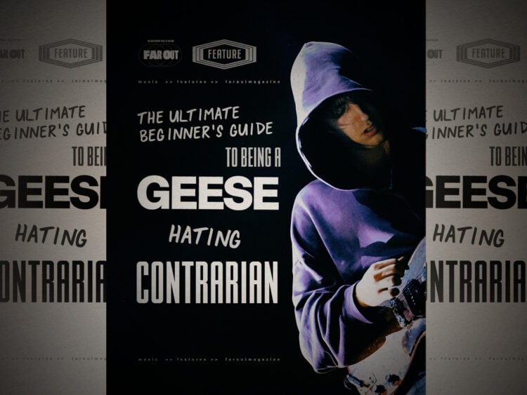 The ultimate beginner's guide to being a Geese-hating contrarian