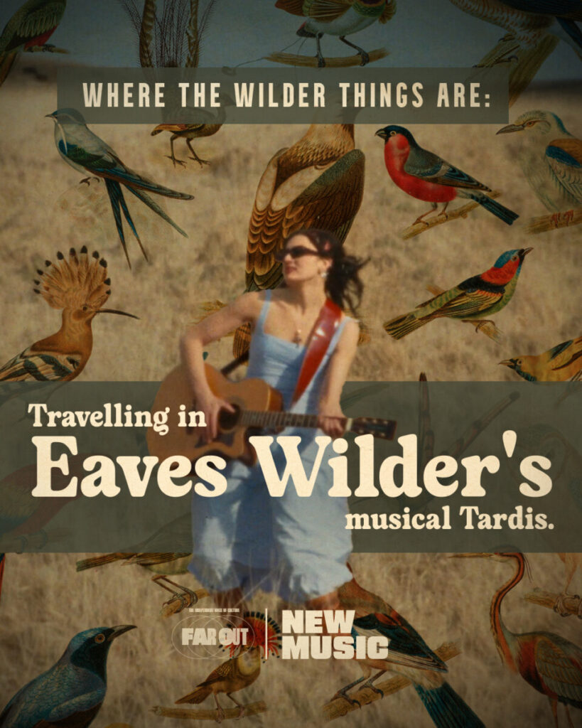 Where the wilder things are- Travelling in Eaves Wilder's musical Tardis