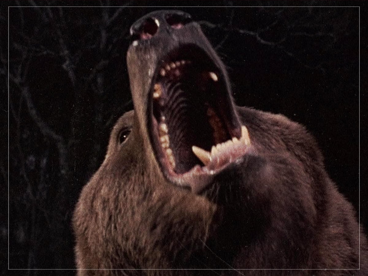 ‘Grizzly’ (William Girdler, 1976)