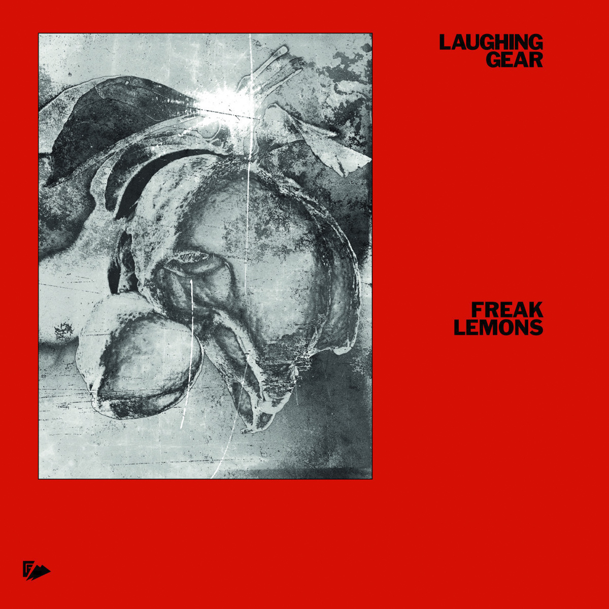 Laughing Gear – ‘Flake’ - 2021