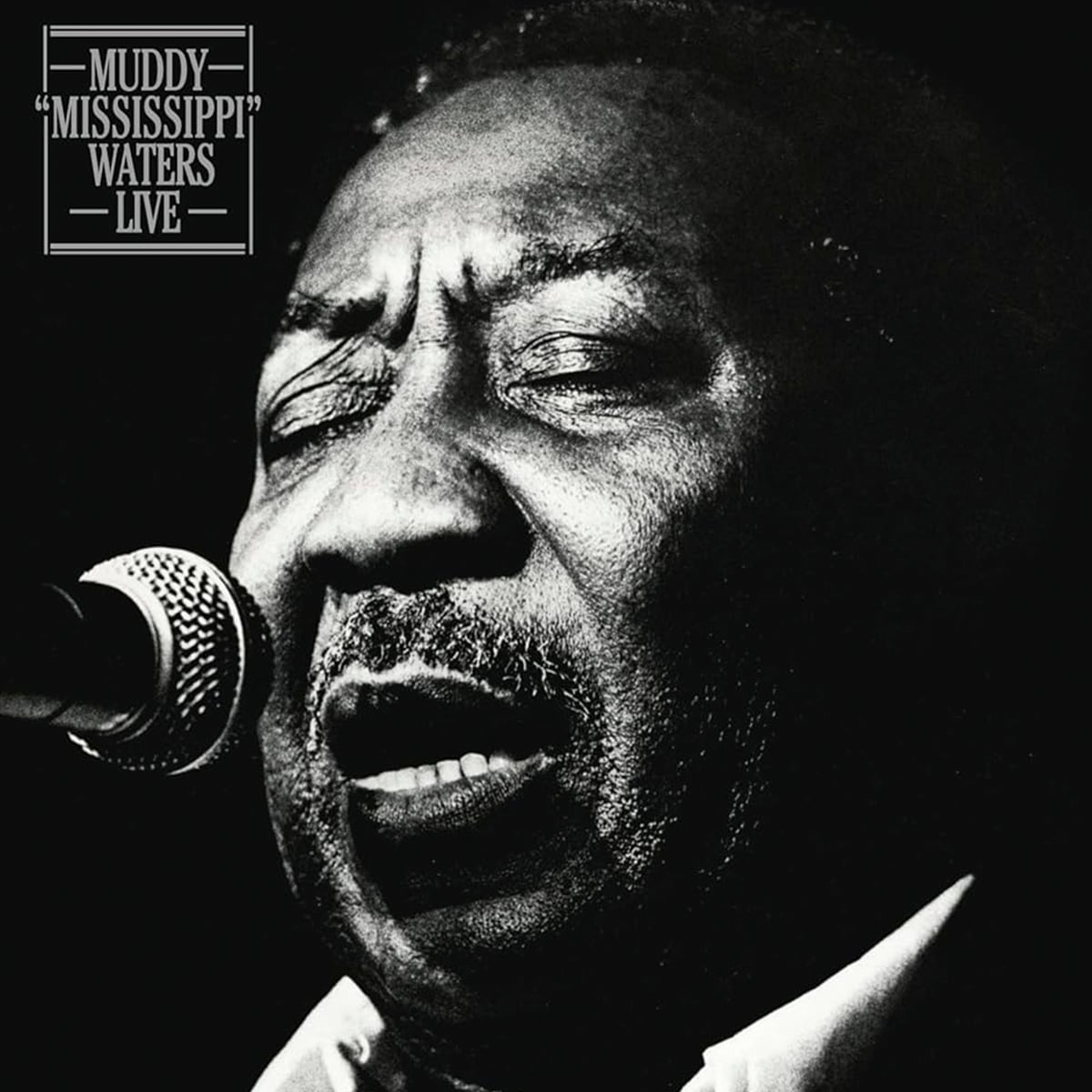 Muddy Waters - Muddy Mississippi Waters – Live - 1979