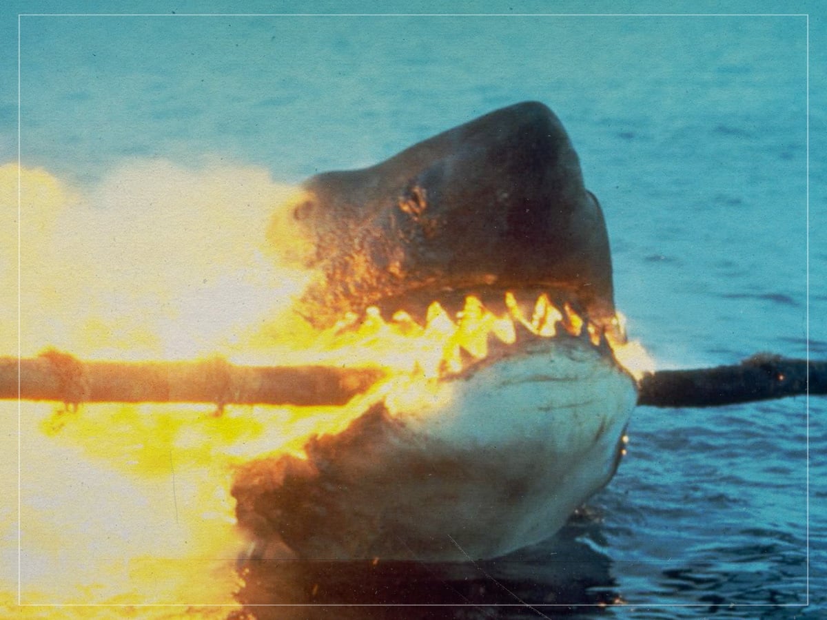 The Great White – ‘Jaws 2’ (Jeannot Szwarc, 1978)