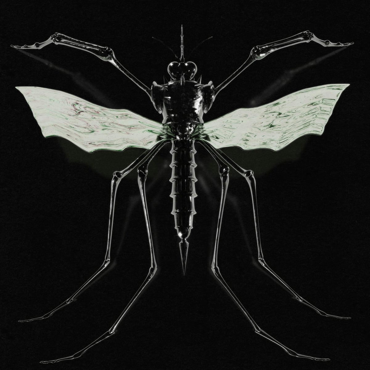 Wax Head - GNAT - 2026