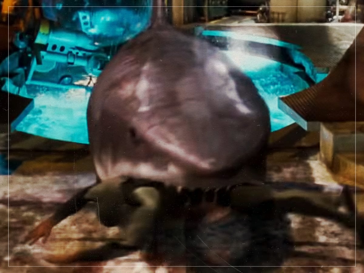 ‘Deep Blue Sea’ – Death by supershark