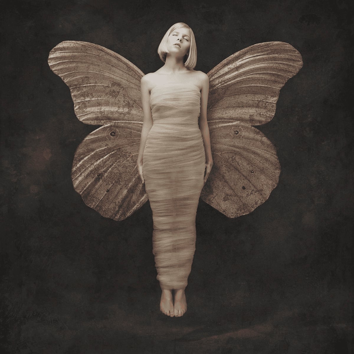 AURORA - Black Water Lilies - 2016
