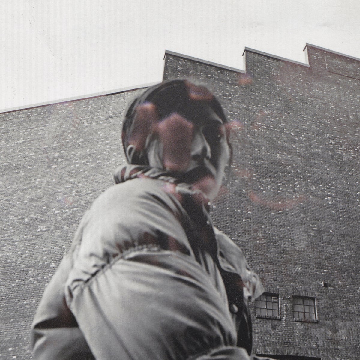 Aldous Harding – ‘Warm Crisis’ (2022)