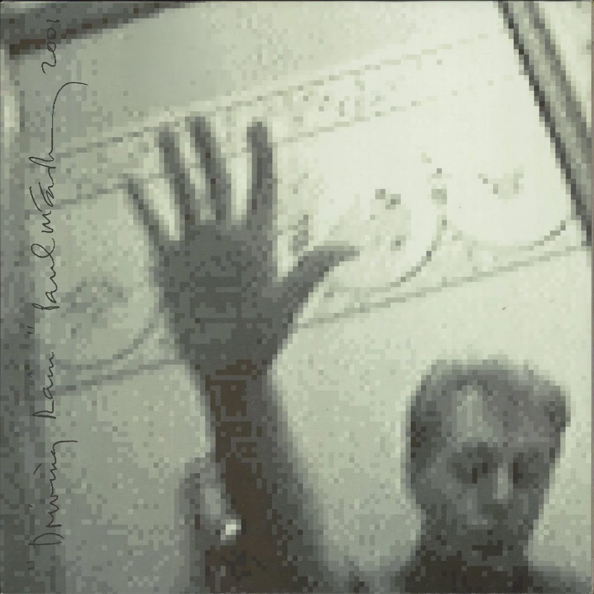 Paul McCartney - Driving Rain