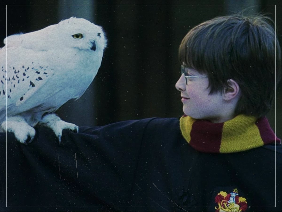 ‘Harry Potter and the Philosopher’s Stone’ (Chris Columbus, 2001)