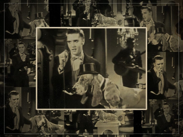 70 years ago, Elvis Presley serenaded a dog on live TV