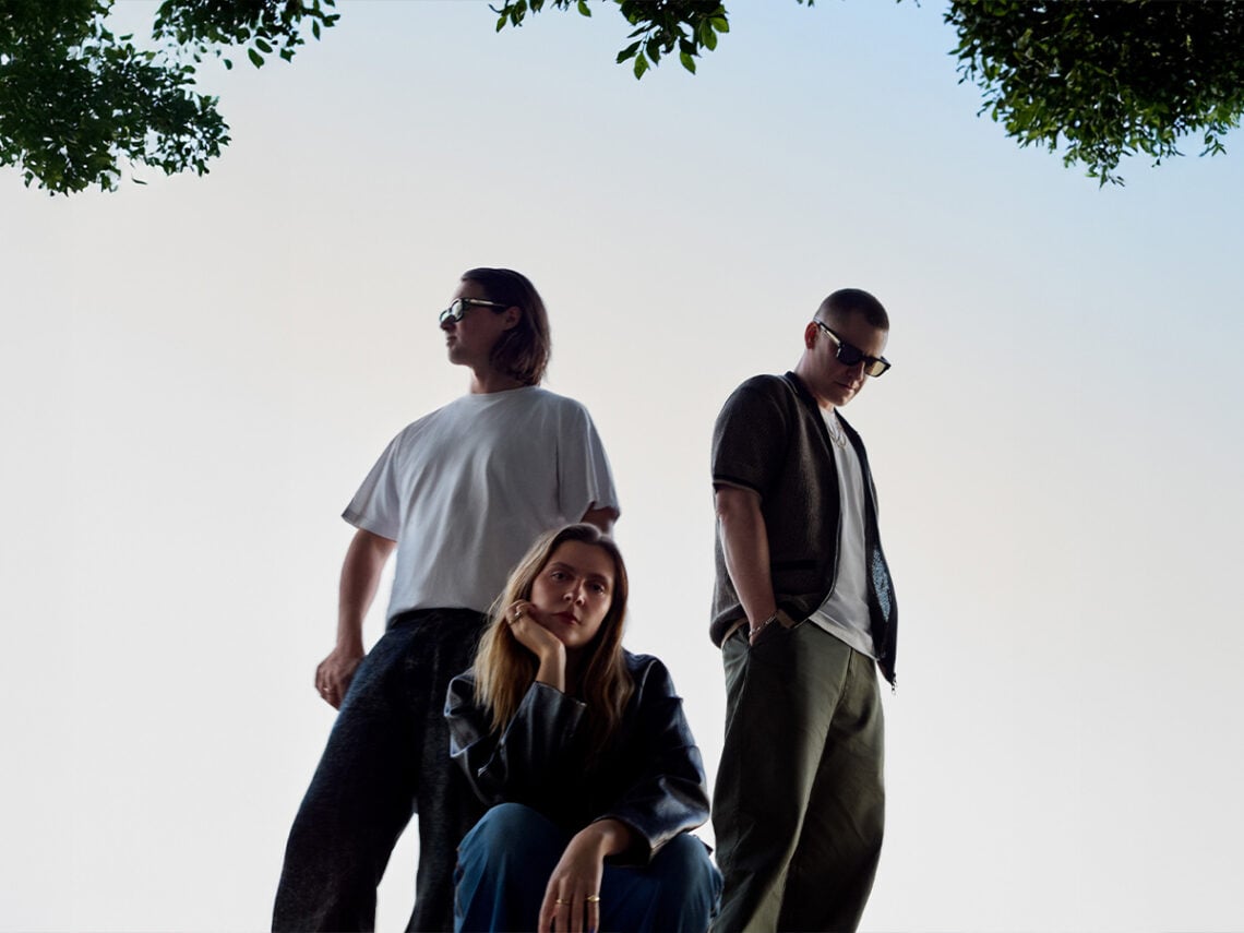 Jungle - 2026