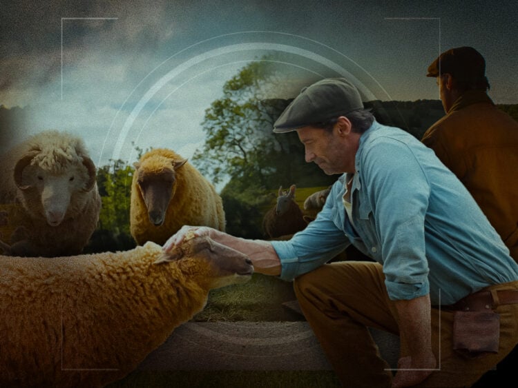 Let the sheep (detectives) heal your ills