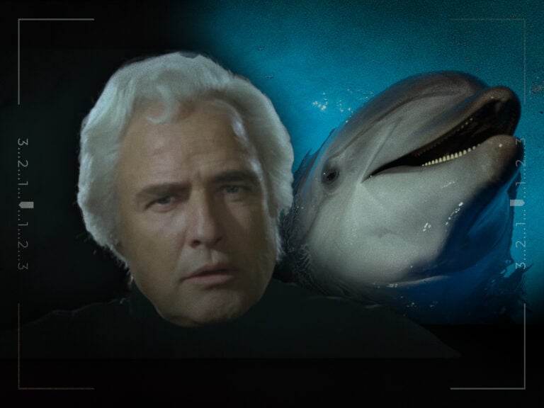 The 1996 role Marlon Brando was desperate to play as a dolphin Don’t worry about it