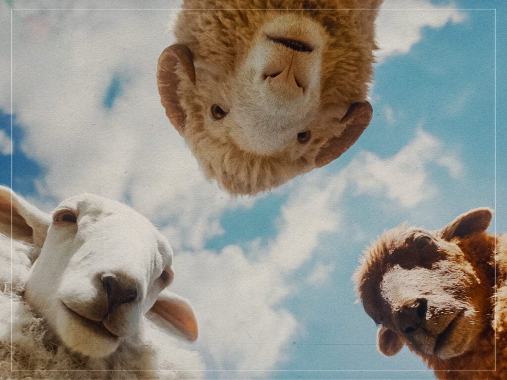 The Sheep Detectives - Kyle Balda - 2026